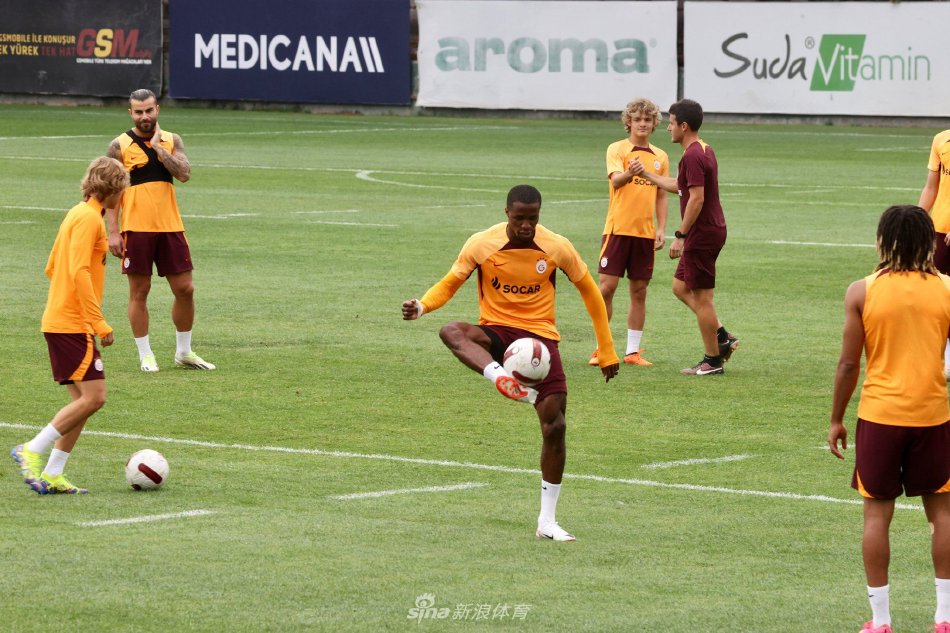 深入挖掘赵 深入挖掘赵